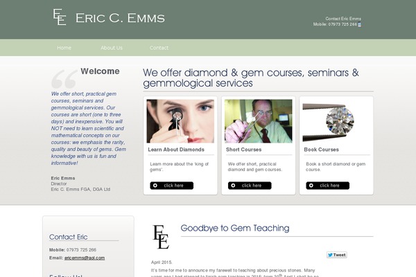 ericemms.com site used Template_29295_r16x4sn833hm3qd5kv99