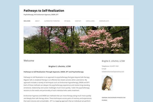 ericksonianhypnosisny.com site used Twenty Twelve