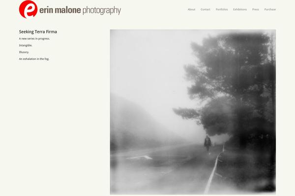 Enfold theme site design template sample