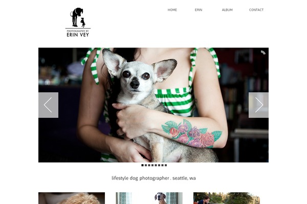 Anise theme site design template sample