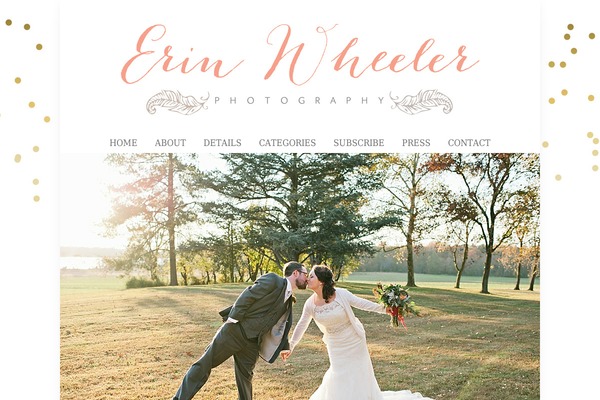 WordPress website example screenshot