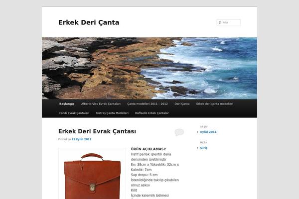 Twenty Eleven theme site design template sample