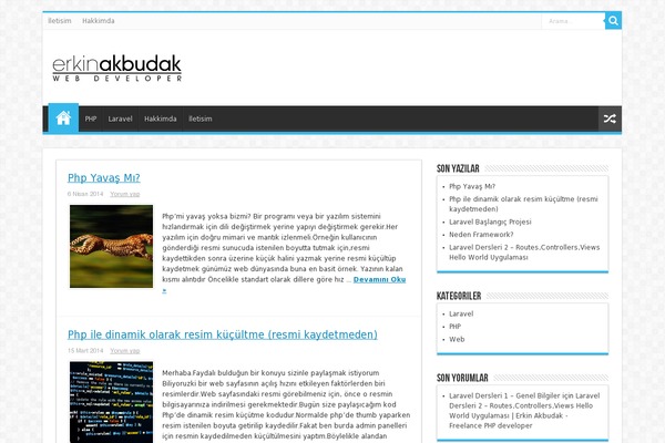 Twenty Fourteen theme site design template sample