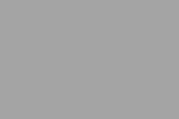 Site using Autoptimize plugin