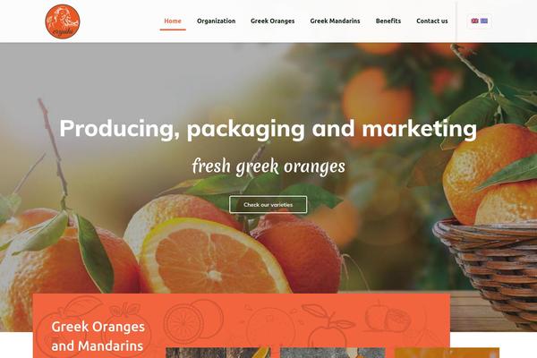 BeTheme Child theme site design template sample
