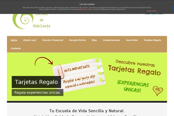 escueladevidalenta.com site used Air-balloon