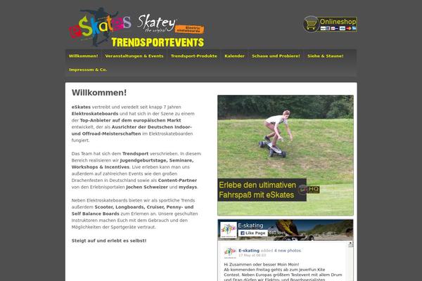 Responsive theme site design template sample