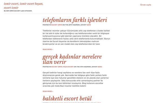 WordPress website example screenshot