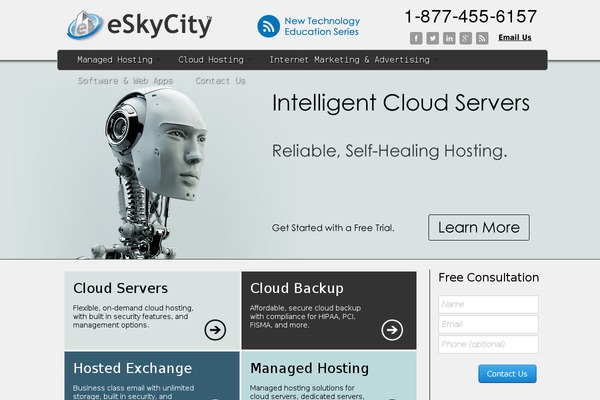 eskycity.com site used Bloggin