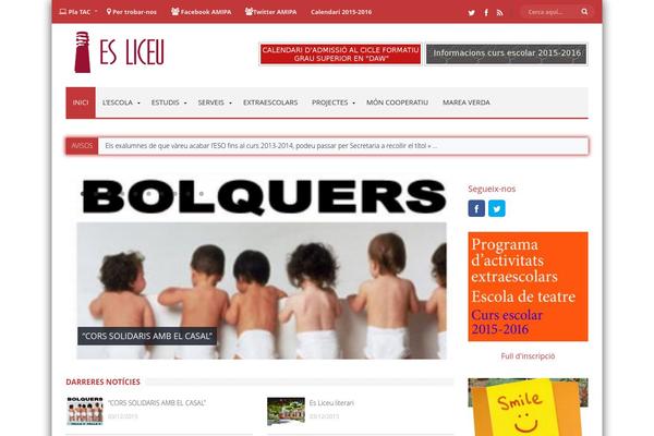 esliceu.com site used Magaziner