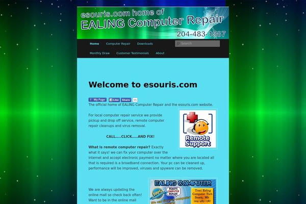 WordPress website example screenshot