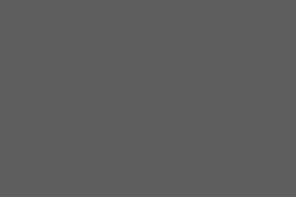 Twenty Sixteen theme site design template sample