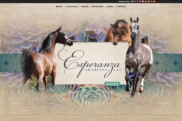 Esperanza theme site design template sample