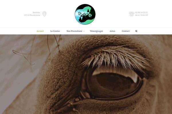 Equestrian-centre theme site design template sample