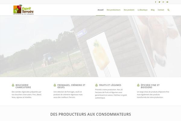 WordPress website example screenshot