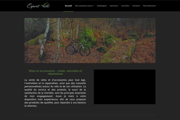 WordPress website example screenshot