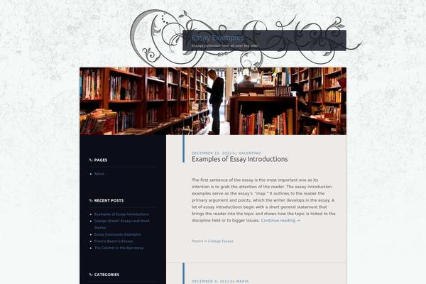 Appointment theme site design template sample