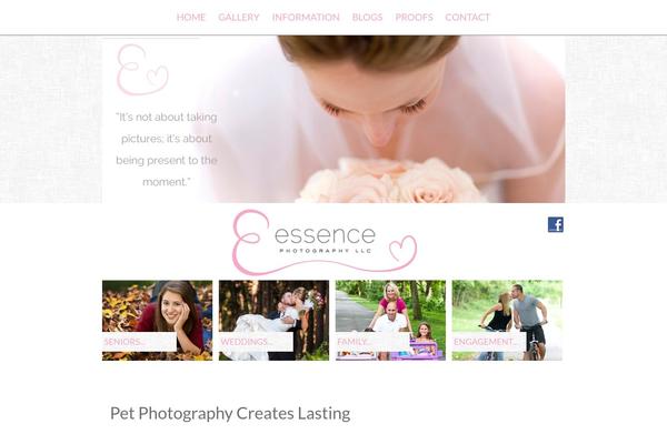 essencephotos.com site used Whimsical