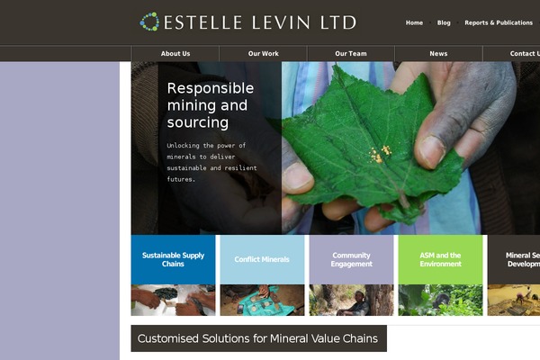 estellelevin.com site used Ell