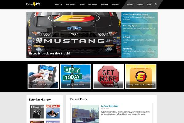 WordPress website example screenshot