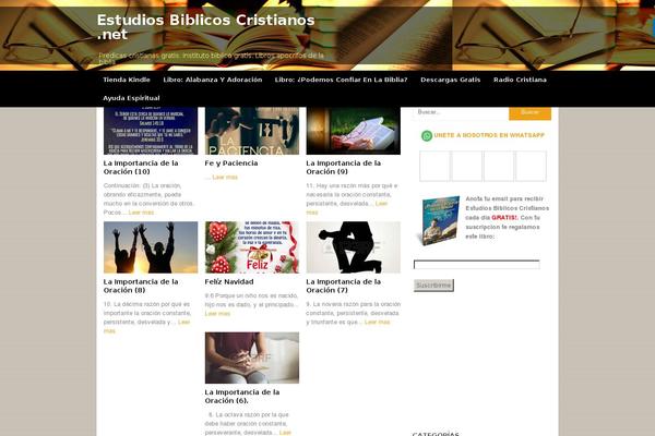 News Pro theme site design template sample