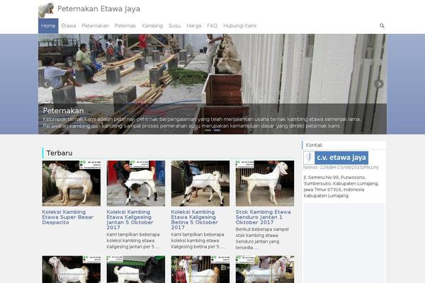 etawajaya.com site used Etawajaya31