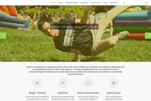 Salient theme site design template sample