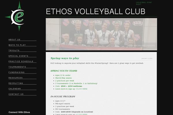 Ethos theme site design template sample