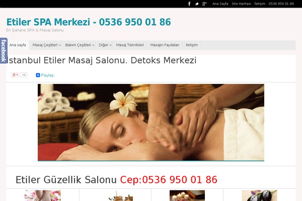 Tempera theme site design template sample