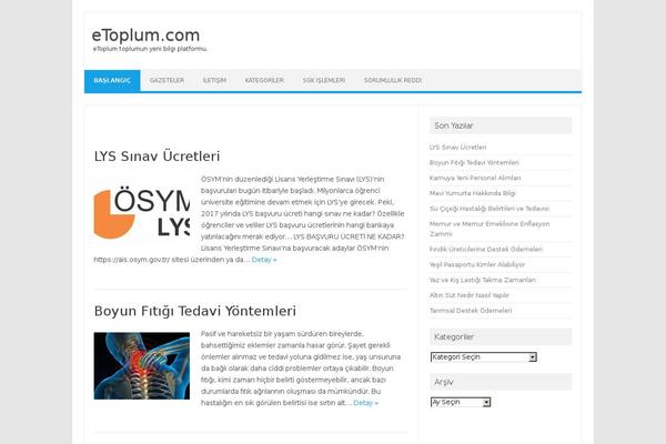 Iconic One theme site design template sample