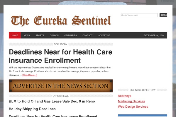 WordPress website example screenshot