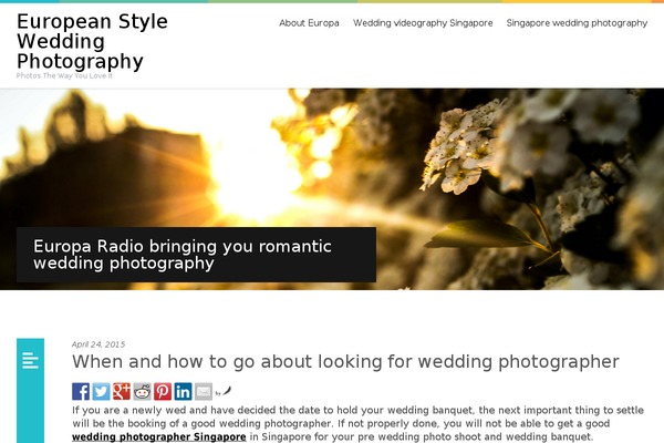 Photolab theme site design template sample