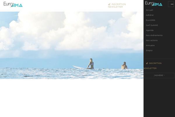Site using Gravityformsmailchimp plugin