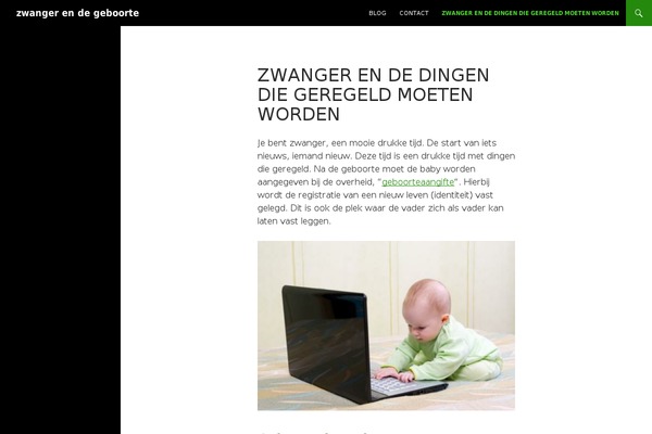 WordPress website example screenshot