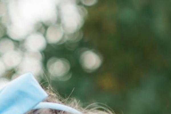 Twenty Seventeen theme site design template sample