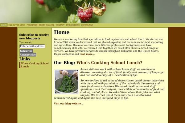WordPress website example screenshot