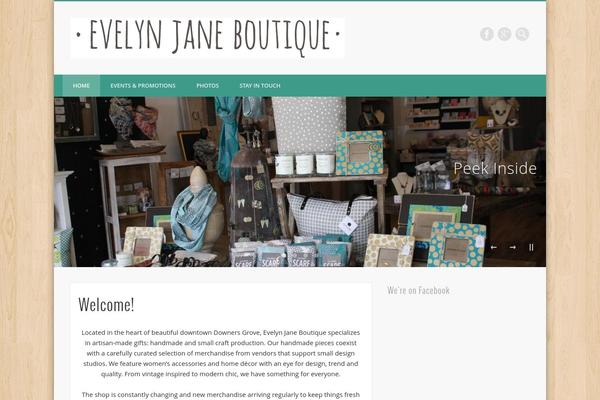 WordPress website example screenshot