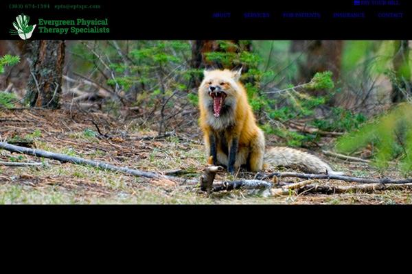 Site using WP Rocket plugin