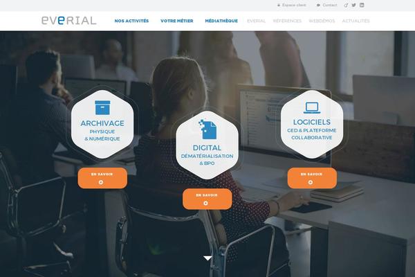 everial theme websites examples