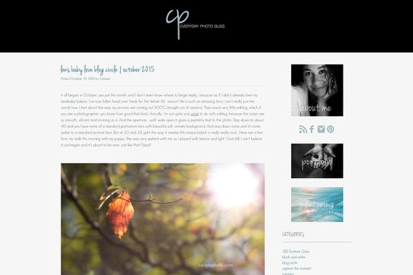 Portfolio Press theme site design template sample