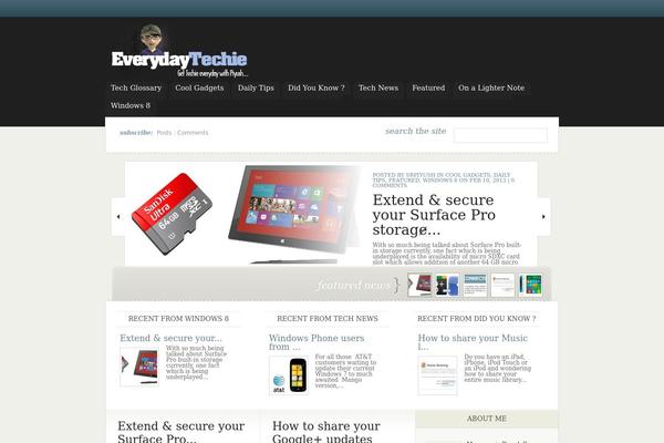 WordPress website example screenshot