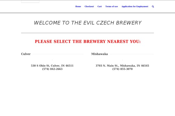 Enfold theme site design template sample