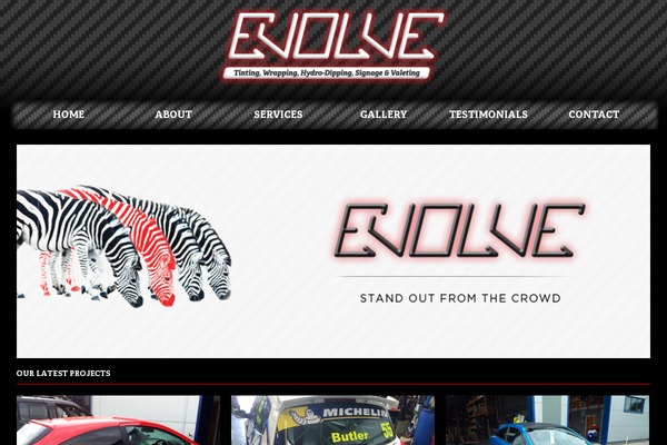 evolve theme site design template sample