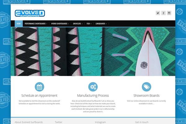 evolvedsurf.com site used Alterna