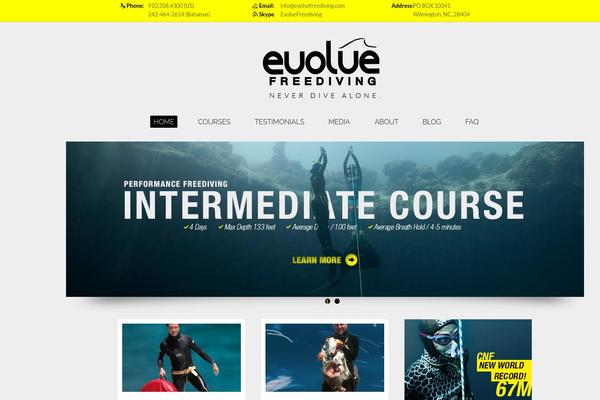 evolve theme site design template sample