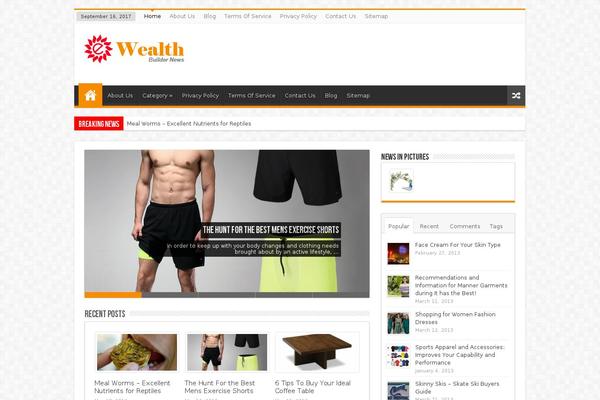 Sahifa theme site design template sample