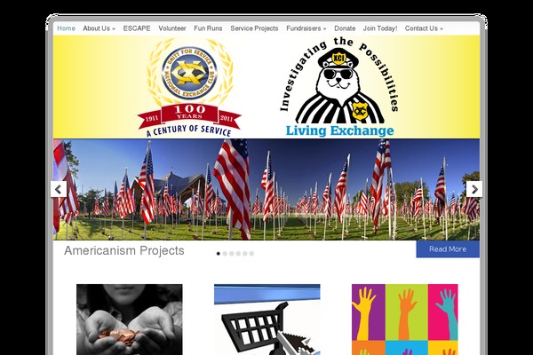 Chameleon theme site design template sample