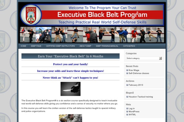 executiveblackbeltprogram.com site used Corporate 2.0