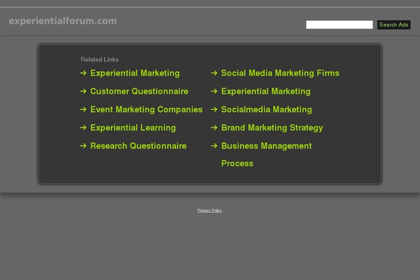 Divi theme site design template sample