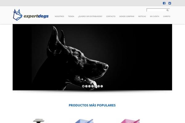 modality-child WordPress theme, websites list used modality-child theme modality-child theme websites examples